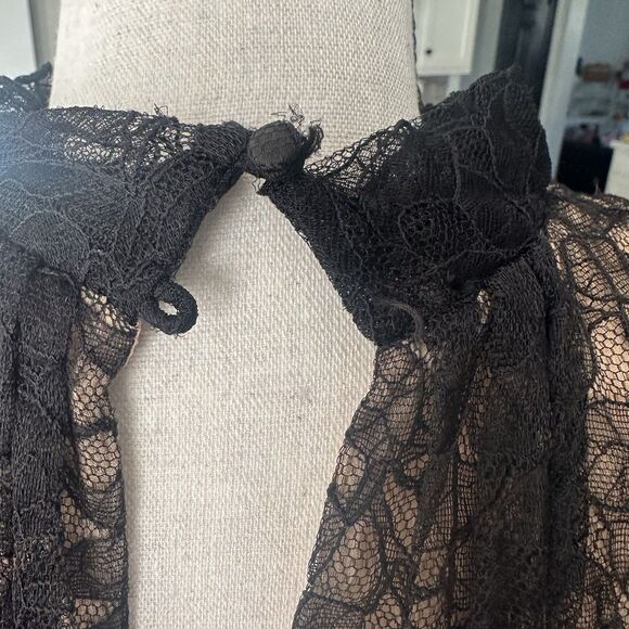 BCBG Max Azria Lace Sheer Silk-Lined Dress Sz 10 - Picture 3 of 7